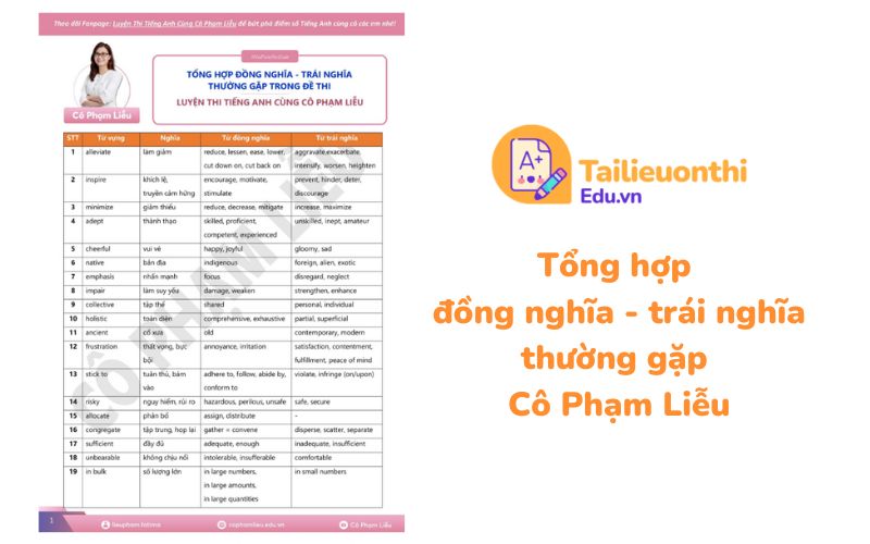 Tổng hợp đồng nghĩa - trái nghĩa thường gặp Cô Phạm Liễu